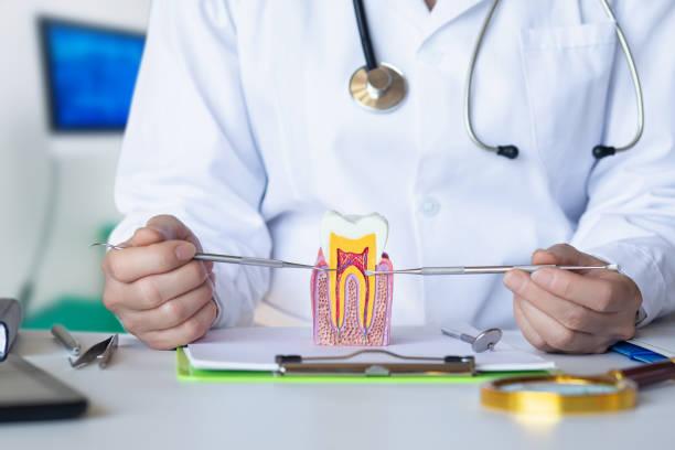 Best Broken Tooth Emergency  in Fredericksburg, VA
